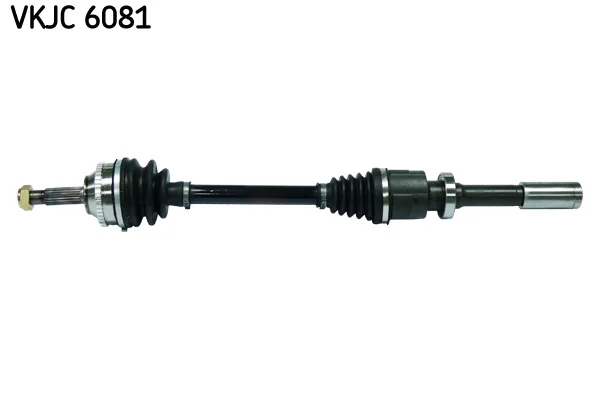 Poloosa